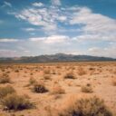 Deserts, Interstices, and New Life