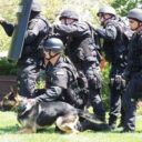 The Great Western Sin: Pride and the Politics of Terror