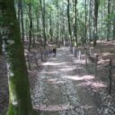 Wine, Place, and Pilgrimage