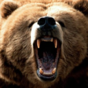 The Idol of Technology and the Fear of Bears